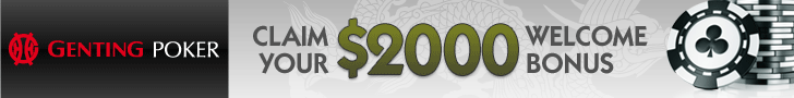 Play Online Poker